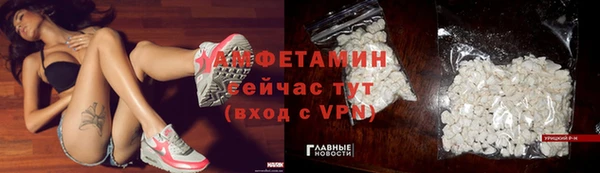ГАЛЛЮЦИНОГЕННЫЕ ГРИБЫ Алексин