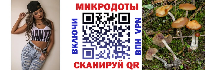 где можно купить   Темрюк  Псилоцибиновые грибы Psilocybine cubensis 